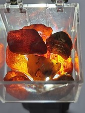 Bernstein Aus Bitterfeld 6,91