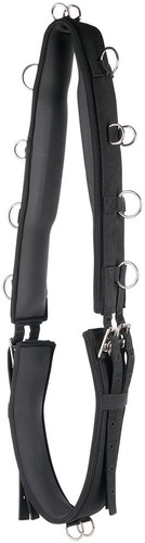 Harrys horse longiergurt - horse,