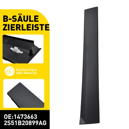 Zierleiste fahrzeugtür - zierleiste,