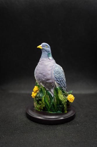 Unsere schöne vogelwelt - unsere,