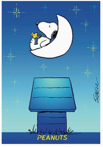 Xxl peanuts poster - peanuts, snoopy