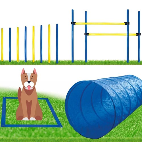 Dog agility set groß mit - dog,