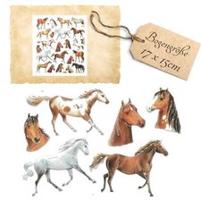 Sticker Pferd Hengst Stute