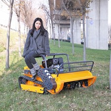 Aus der Region stammende