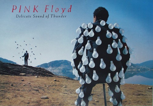 Poster pink floyd delicate - pink,