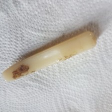 1964 GIBSON FIREBIRD / SG VIBROLA TREM ARM TIP USA