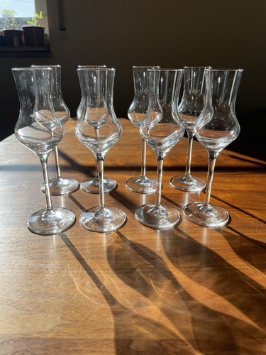 Sektgläser stück glas - 8, stück,