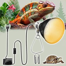 Wärmelampe Terrarium Dome