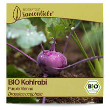 BIO Kohlrabi Samen Sorte Purple Vienna Gemüsesamen BIO Gemüse Saatgut samenfeste