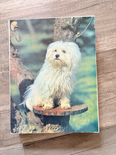 Ddr puzzle aus - ddr-puzzle, annaberg