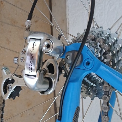 Campagnolo rennrad blau weiß - campagnolo, blau-weiß