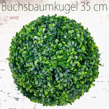 Buchsbaum Kugel Künstliche