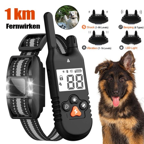 1000m hund ausbildung - 1000m,