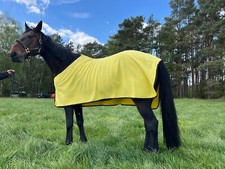 Abschwitzdecke -Basic- in 10