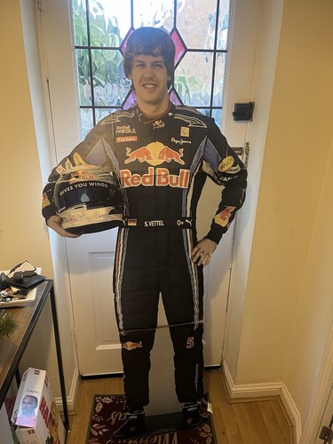 Sebastian vettel lifesize - sebastian,