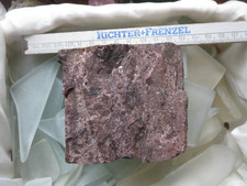 Fossiles verkieseltes Holz