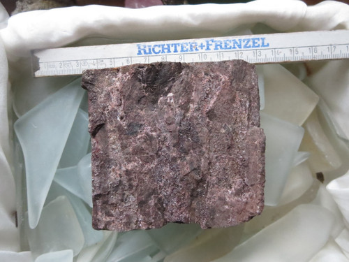 Fossiles verkieseltes holz - fossiles,