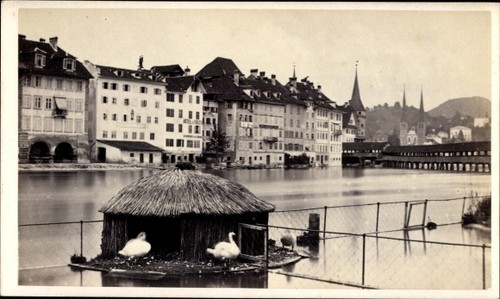 Cdv luzern stadt schweiz - cdv,