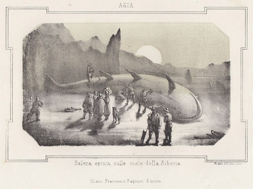 Russland ethnologie wal - ethnologie,