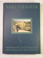 Winterharte Blütenstauden und