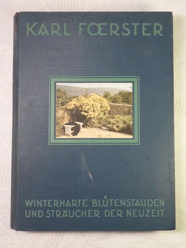 Winterharte blütenstauden und - blütenstauden,