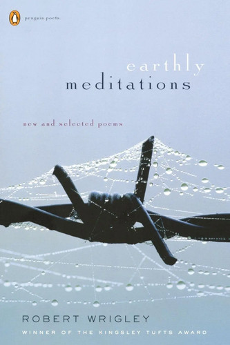 Earthly meditations new and - meditations,