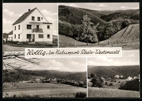 Hollig westerwald - hollig, /westerwald