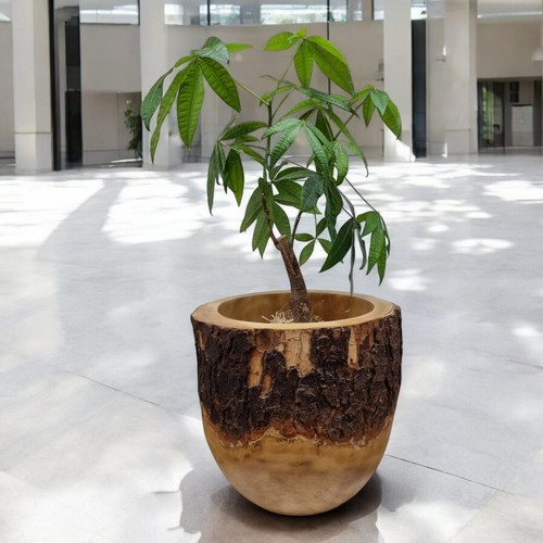 Mango holz übertopf - holz,