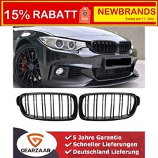 Grill Kühlergrill Nieren