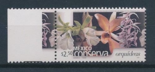 Mexiko dauerserie naturschutz - mexiko,