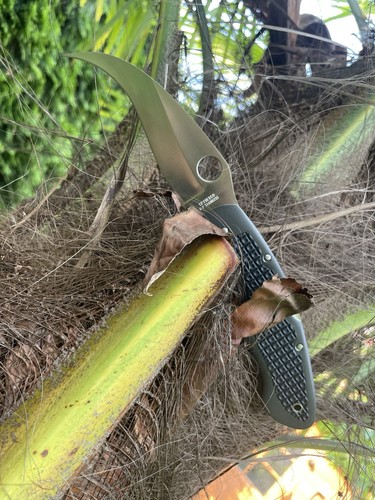 Spyderco cevilian - spyderco,
