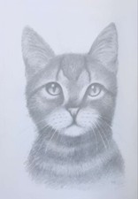 Original Zeichnung A4 Katze TierPorträt Unikat signiert Bleistift Kunst Geschenk