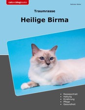 Traumrasse Heilige Birma |
