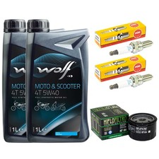 Inspektion 2L Set Öl