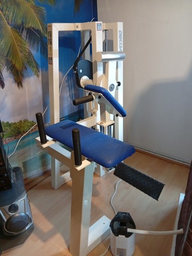 Gym gluteus maschine radial - gym,