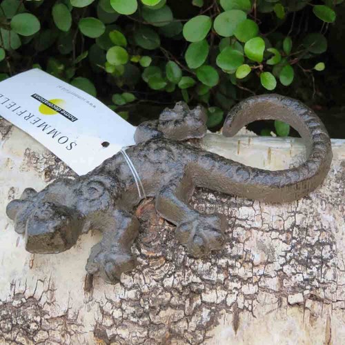 Salamander gecko echse - salamander,