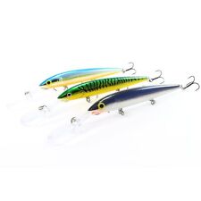 Rapala Down Deep Husky Jerk 10
