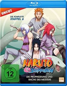 Naruto shippuden staffel - -, 6