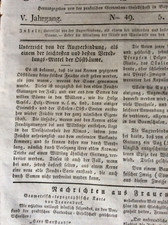 Obstbaum - Augen - Veredelung