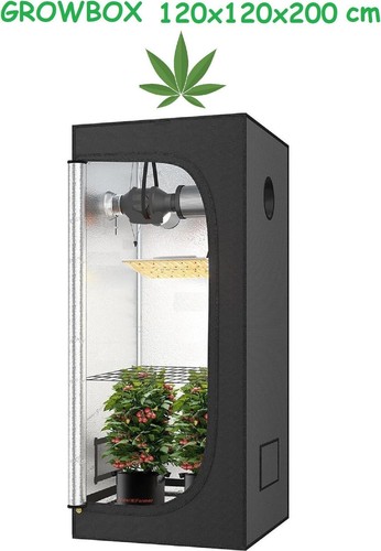Jung growbox 120x120x200cm - jung,