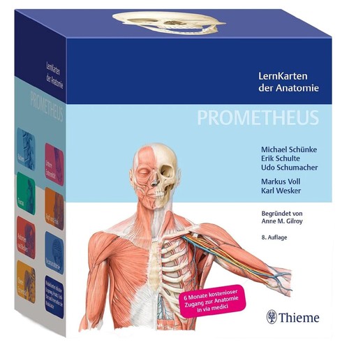 Prometheus lernkarten anatomie - lernkarten,