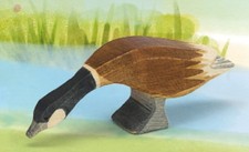 Kanadagans Hals lang -