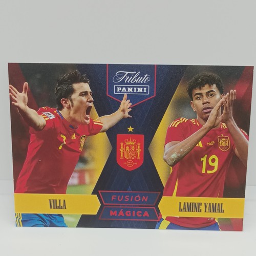 Panini seleccion espanola - panini,