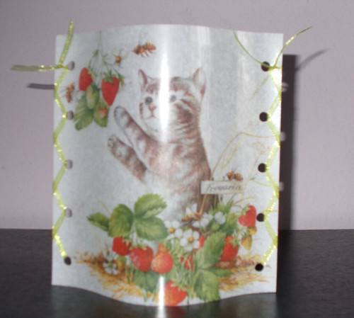 Dekowindlicht katze erdbeeren - dekowindlicht,