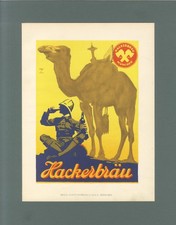 Hackerbräu München Bier