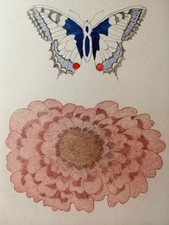 Radierung handsigniert, Probe