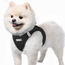 rabbitgoo Hundegeschirr Kleine