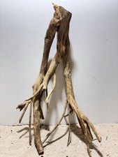 Talawa Wurzel XXL ähnlich