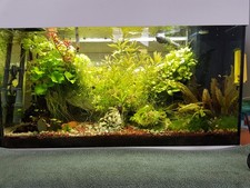 Juwel Aquarium "Rio" 125L /