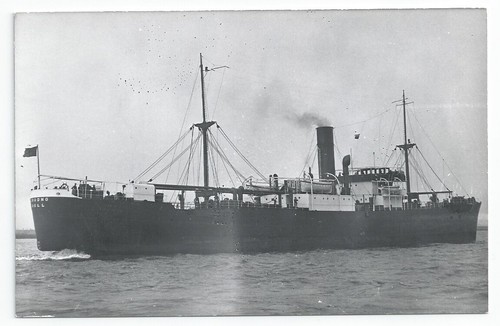 Wilson line hull grodno - wilson,